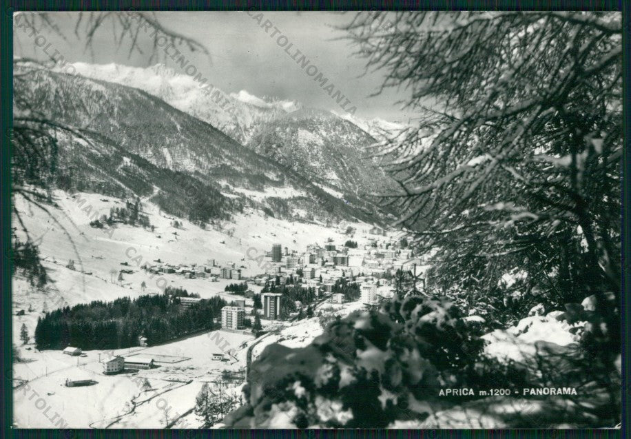 Sondrio Aprica Nevicata Foto FG cartolina KV9188 – fronte