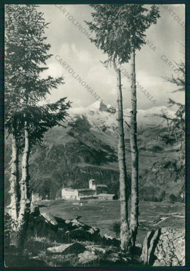 Sondrio Campodolcino Foto FG cartolina KV9196 – fronte