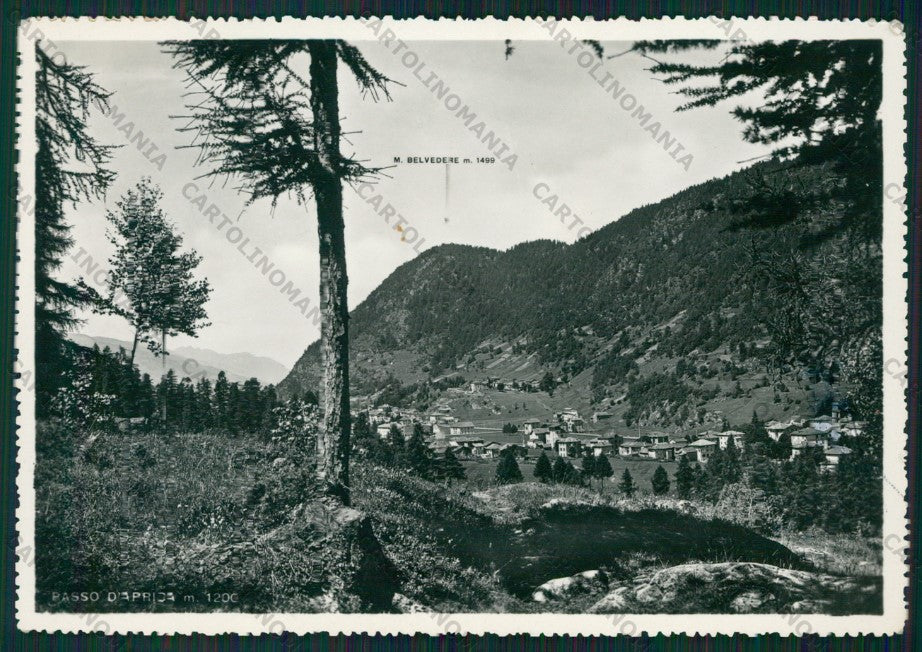 Sondrio Aprica Passo di Monte Belvedere Foto FG cartolina KV9199 – fronte