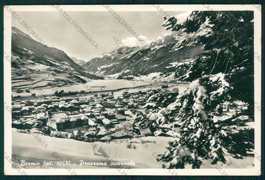 Sondrio Bormio Nevicata Foto FG cartolina KV9202 – fronte