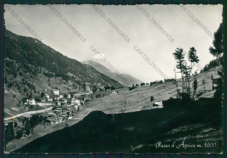 Sondrio Aprica Passo di Foto FG cartolina KV9206 – fronte
