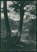 Sondrio Campodolcino PIEGHINA Foto FG cartolina KV9209 – fronte