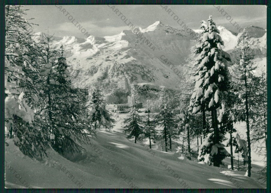Sondrio Campodolcino Nevicata Foto FG cartolina KV9210 – fronte