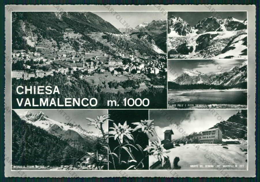 Sondrio Chiesa Valmalenco Stella Alpina Foto FG cartolina KV9214 – fronte