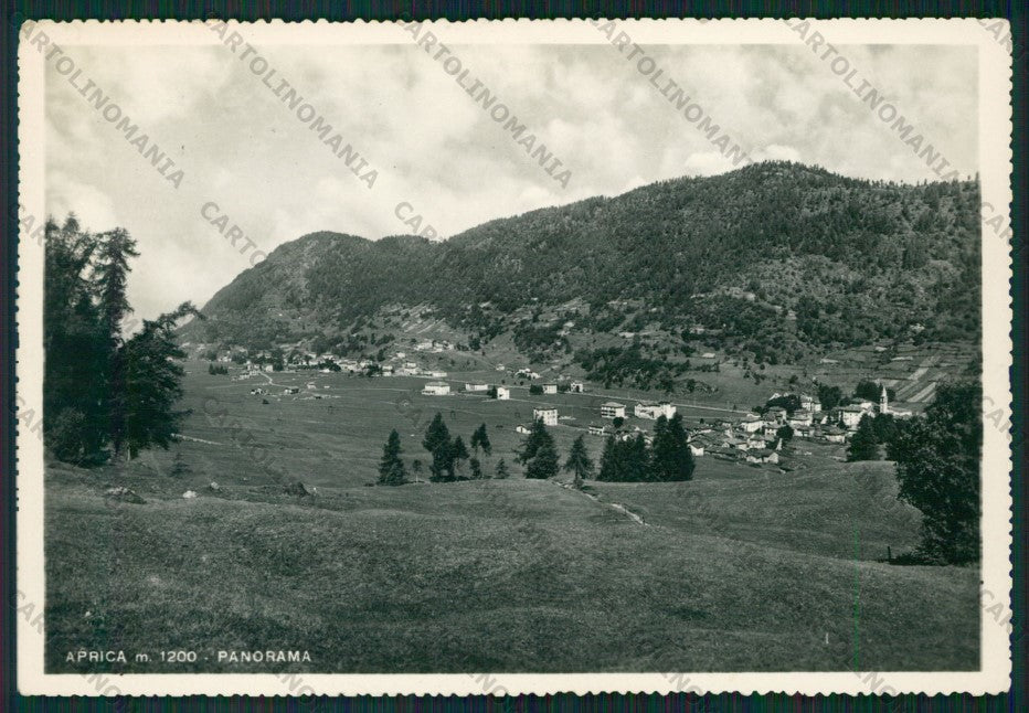 Sondrio Aprica Foto FG cartolina KV9215 – fronte