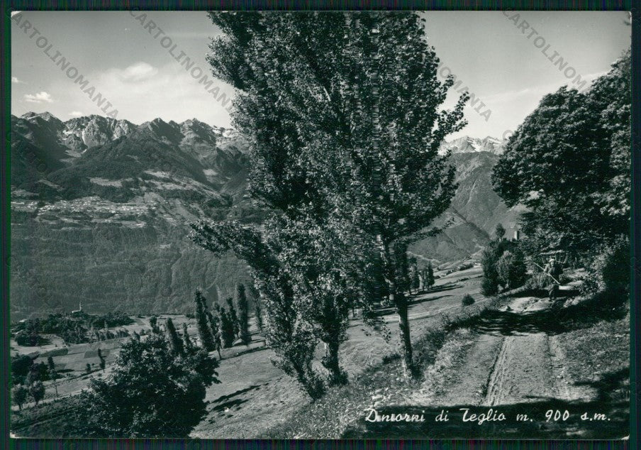 Sondrio Teglio Foto FG cartolina KV9217 – fronte