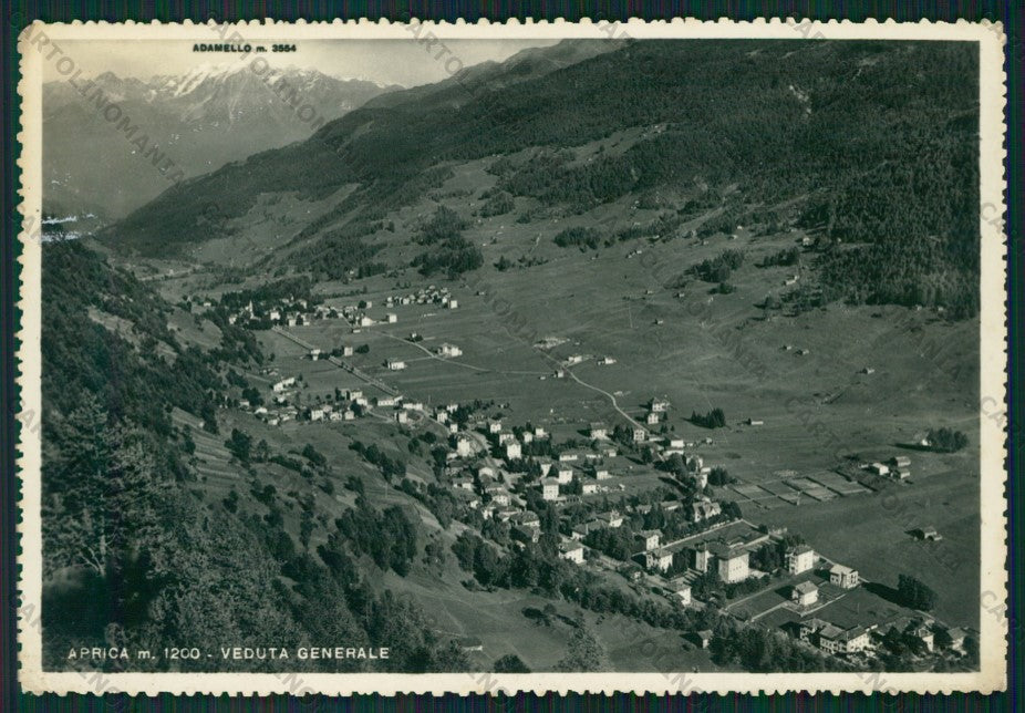 Sondrio Aprica Foto FG cartolina KV9218 – fronte