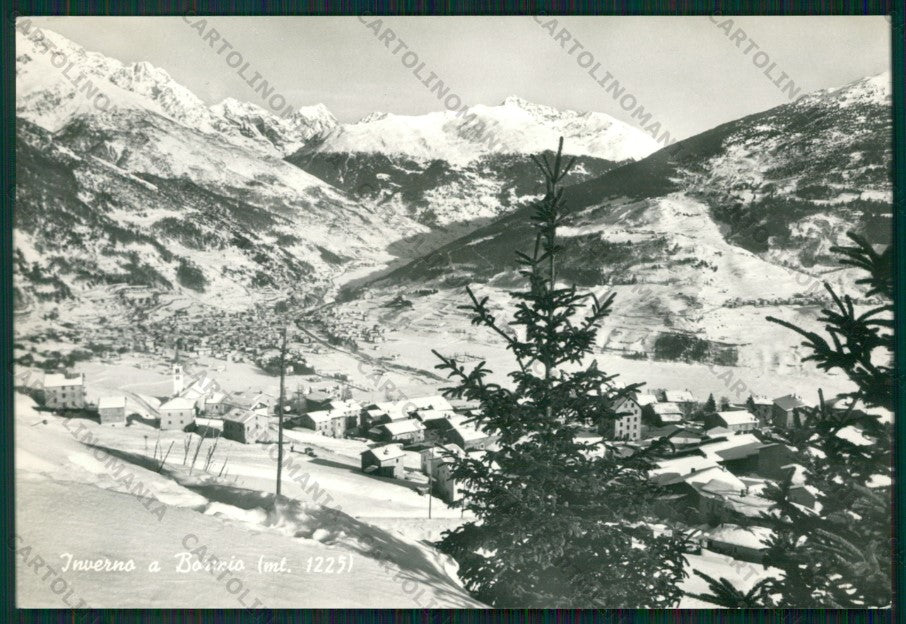 Sondrio Bormio Nevicata Foto FG cartolina KV9228 – fronte