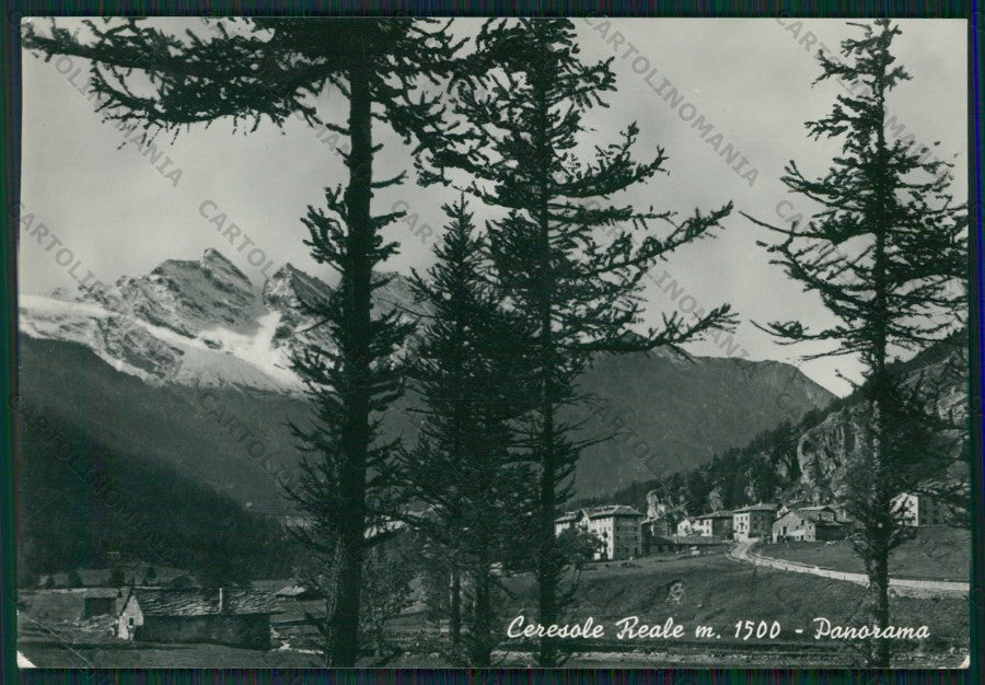 Torino Cerasole Reale Foto FG cartolina KV9237 – fronte