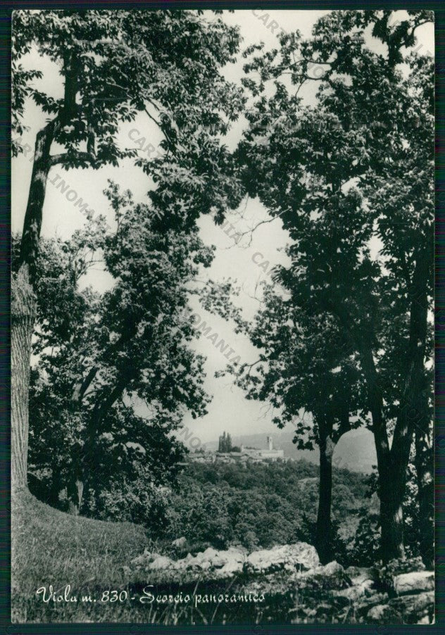 Cuneo Viola Foto FG cartolina KV9257 – fronte
