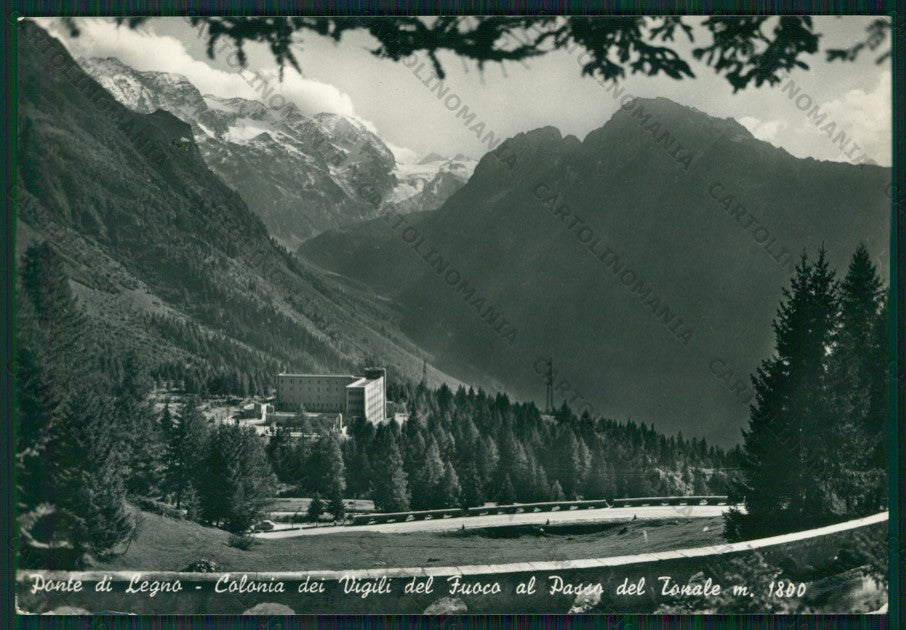 Brescia Ponte di Legno Colonia Foto FG cartolina KV9310 – fronte