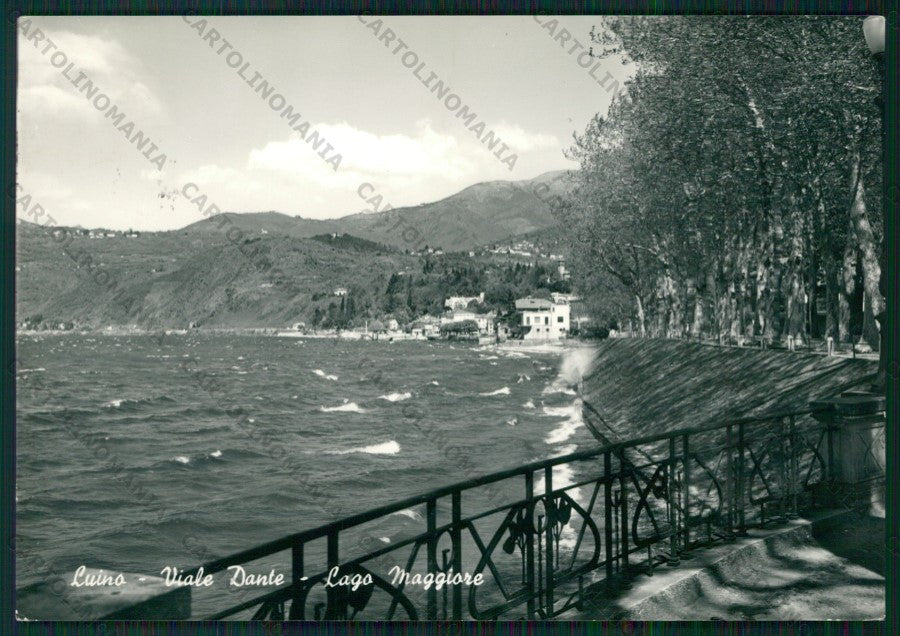 Varese Luino Lago Maggiore Foto FG cartolina KV9379 – fronte