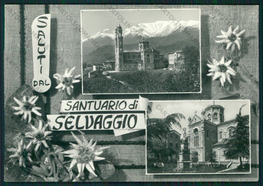 Torino Giaveno Selvaggio Saluti da Stella Alpina Foto FG cartolina KV9389 – fronte
