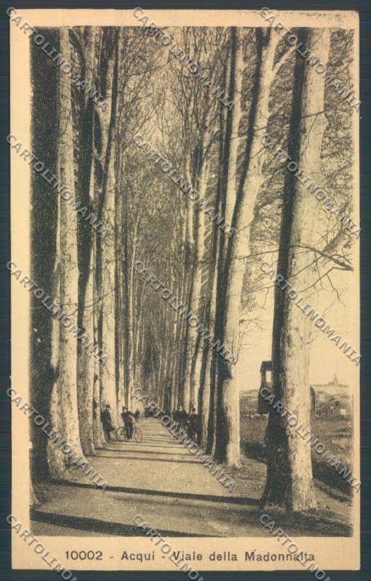 Alessandria Acqui cartolina LQ0311 – fronte
