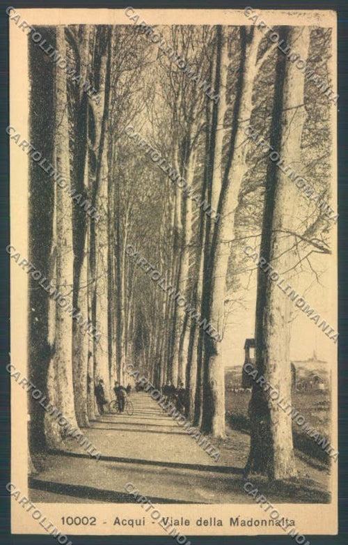 Alessandria Acqui cartolina LQ0311 – fronte