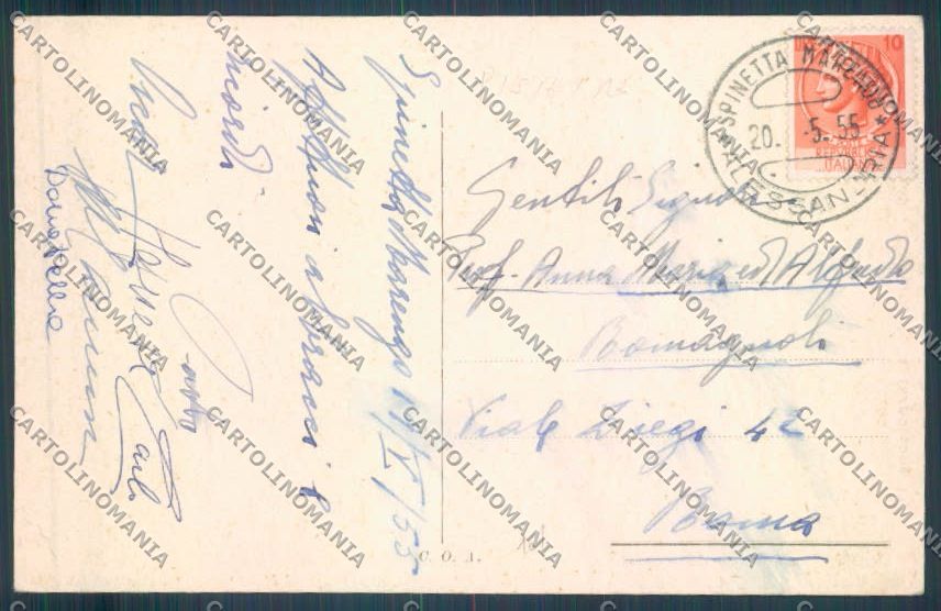 Alessandria Marengo Napoleone cartolina LQ0365 – retro