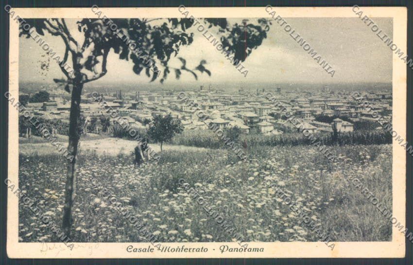 Alessandria Casale Monferrato cartolina LQ0537 – fronte