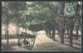Alessandria Casale Monferrato cartolina LQ0596 – fronte