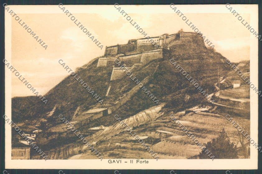 Alessandria Gavi cartolina LQ0639 – fronte