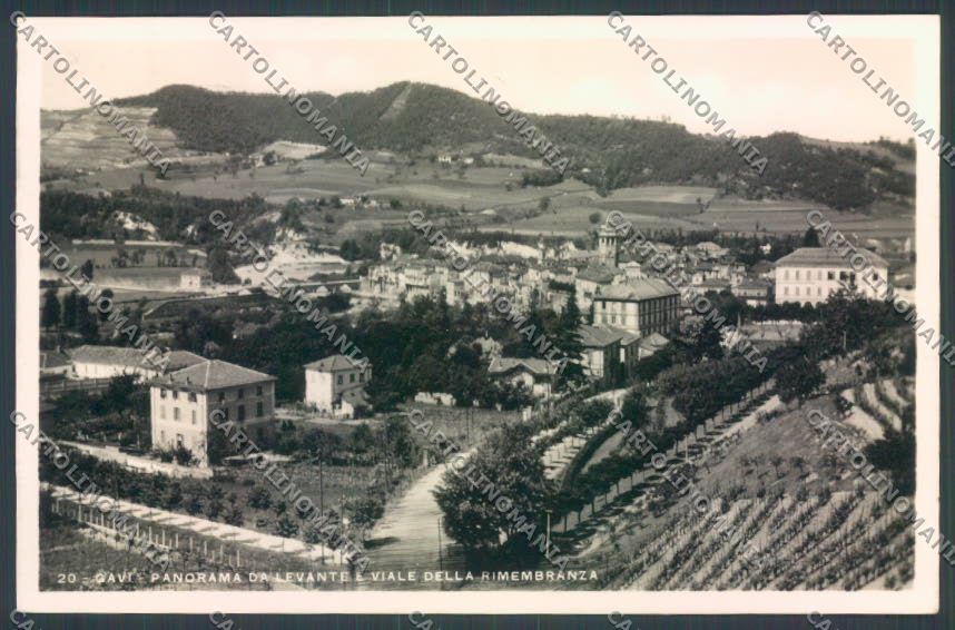 Alessandria Gavi Foto cartolina LQ0647 – fronte