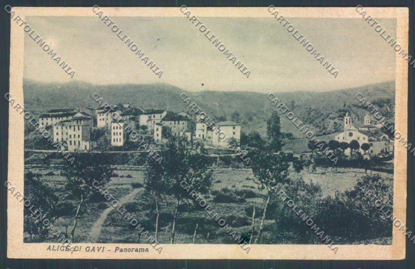 Alessandria Gavi Alice di cartolina LQ0648 – fronte