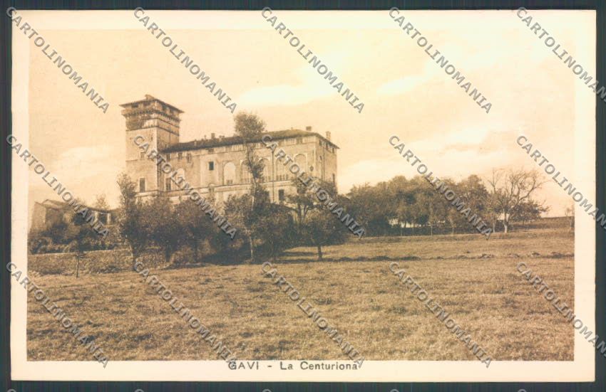 Alessandria Gavi cartolina LQ0650 – fronte