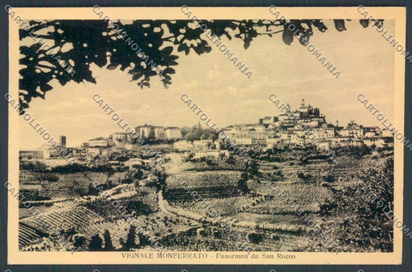 Alessandria Vignale Monferrato cartolina LQ0750 – fronte