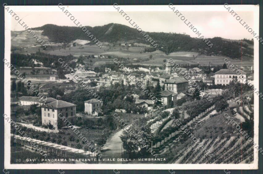 Alessandria Gavi Foto cartolina LQ0870 – fronte