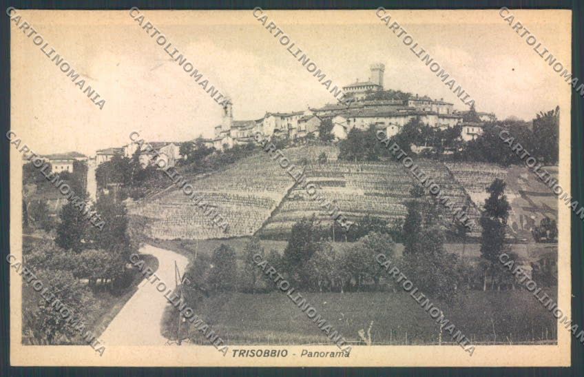 Alessandria Trisobbio cartolina LQ0915 – fronte