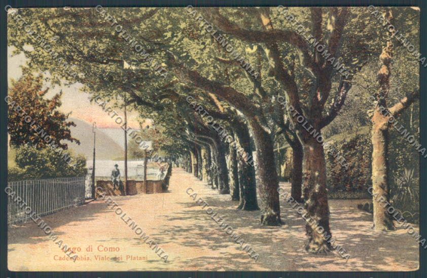 Como Cadenabbia cartolina LQ2272 – fronte
