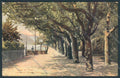 Como Cadenabbia cartolina LQ2272 – fronte