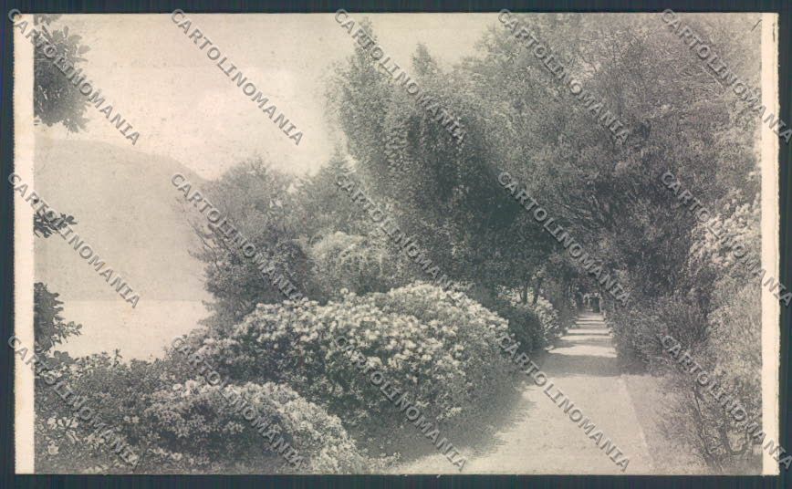 Como Tremezzo cartolina LQ2303 – fronte