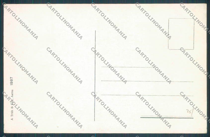 Como Cernobbio cartolina LQ2581 – retro
