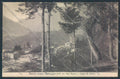 Como Plesio Barna SCOLLATA cartolina LQ2771 – fronte