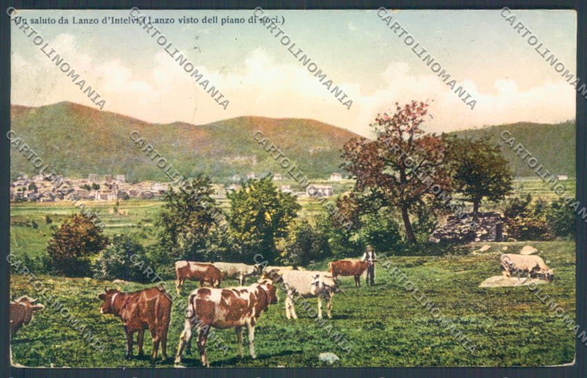 Como Lanzo d'Intelvi cartolina LQ3131 – fronte