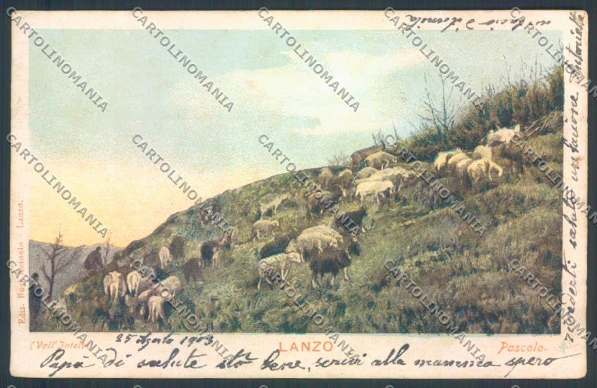 Como Lanzo d'Intelvi Pecora cartolina LQ3179 – fronte