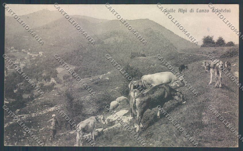 Como Lanzo d'Intelvi cartolina LQ3194 – fronte