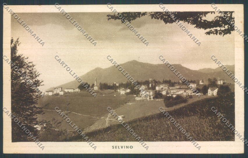 Bergamo Selvino cartolina LQ4171 – fronte