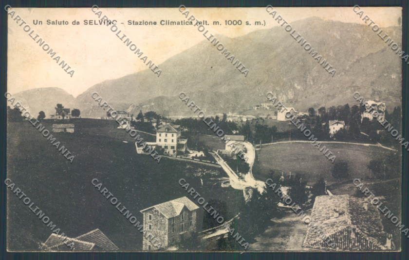 Bergamo Selvino Saluti da cartolina LQ4176 – fronte