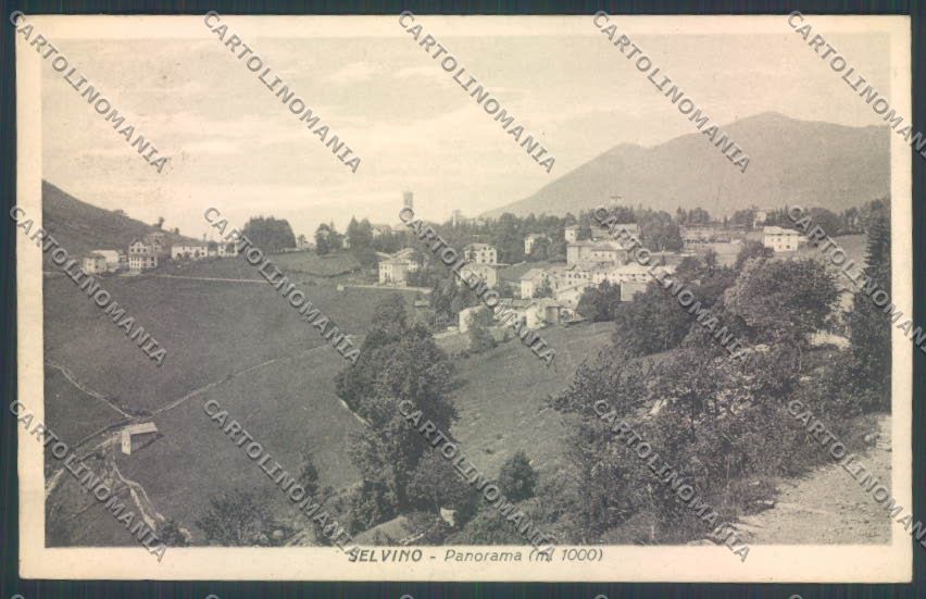 Bergamo Selvino cartolina LQ4183 – fronte