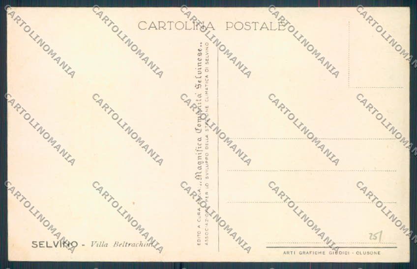 Bergamo Selvino cartolina LQ4203 – retro