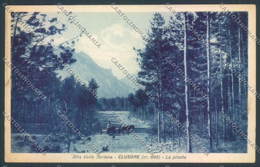 Bergamo Clusone cartolina LQ4234 – fronte