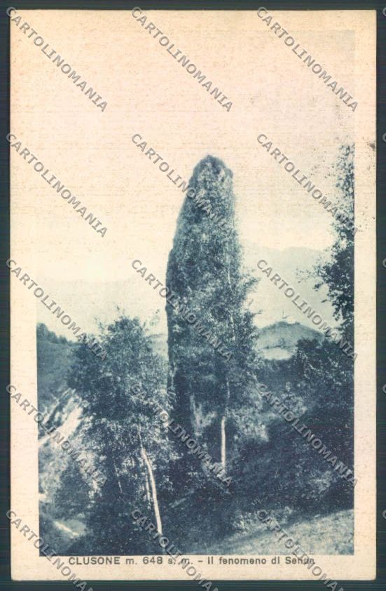 Bergamo Clusone cartolina LQ4235 – fronte
