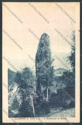 Bergamo Clusone cartolina LQ4235 – fronte