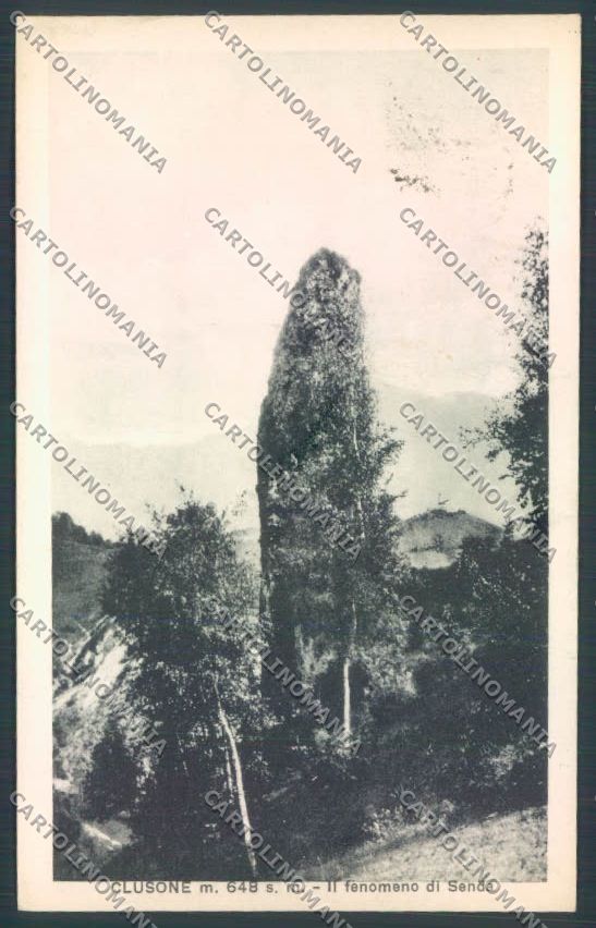 Bergamo Clusone cartolina LQ4236 – fronte