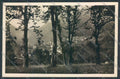 Lecco Esino Lario Foto cartolina LQ4634 – fronte
