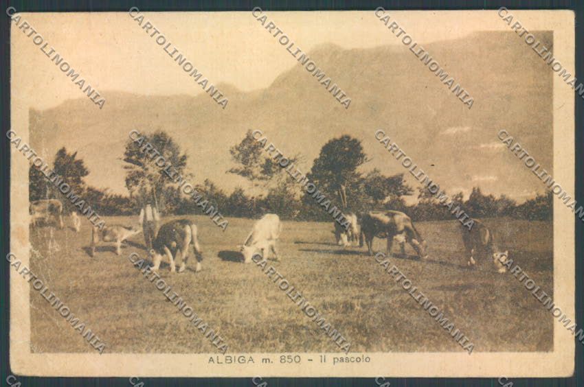 Lecco Albiga PIEGHINE cartolina LQ4761 – fronte