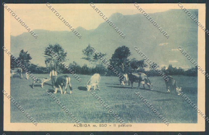 Lecco Albiga cartolina LQ4762 – fronte