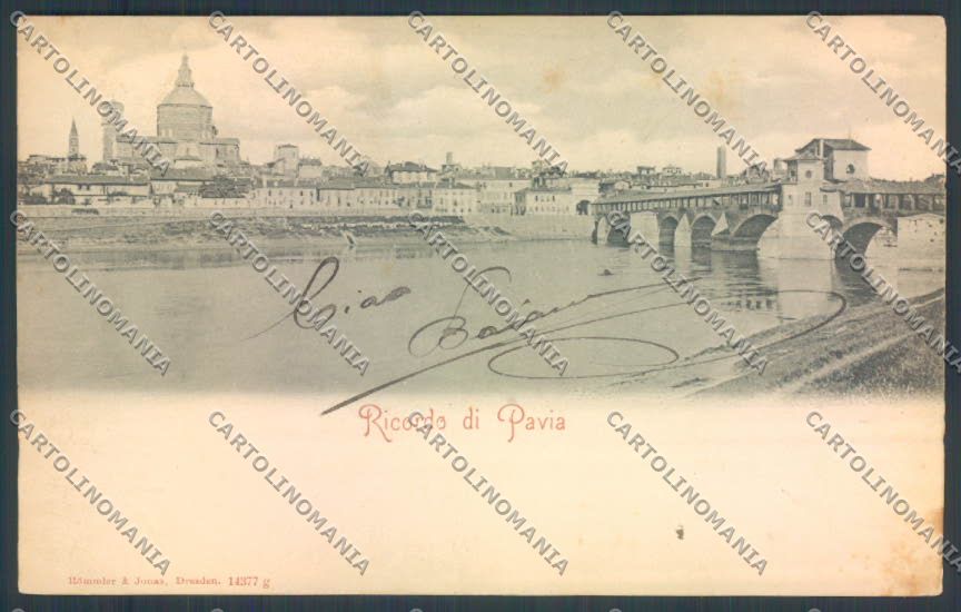 Pavia Città cartolina LQ5139 – fronte