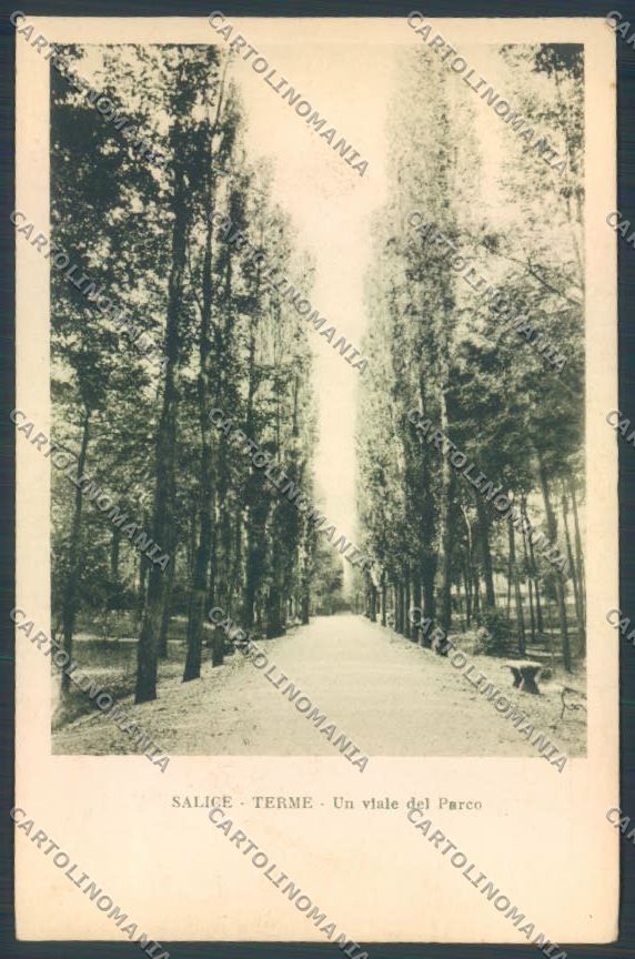 Pavia Salice Terme cartolina LQ5187 – fronte